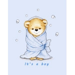 Baby Blanket teddy boy