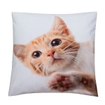Cushion Cover Tabby 43cm